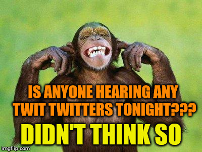Not Listening Chimp | IS ANYONE HEARING ANY TWIT TWITTERS TONIGHT??? DIDN'T THINK SO | image tagged in not listening chimp | made w/ Imgflip meme maker