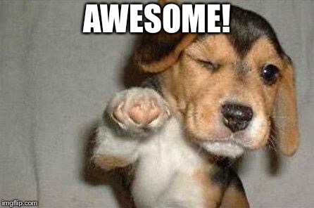Awesome Dog | AWESOME! | image tagged in awesome dog | made w/ Imgflip meme maker