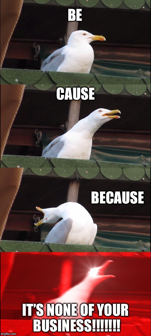 Inhaling Seagull Meme | BE CAUSE BECAUSE IT’S NONE OF YOUR BUSINESS!!!!!!! | image tagged in memes,inhaling seagull | made w/ Imgflip meme maker