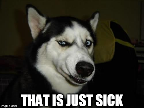 Disturbed dog | THAT IS JUST SICK | image tagged in funny dog,disturbing | made w/ Imgflip meme maker