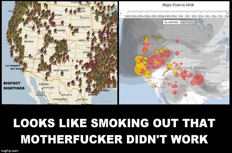 image tagged in bigfoot,sasquatch,california,wildfires,fire,wildfire | made w/ Imgflip meme maker