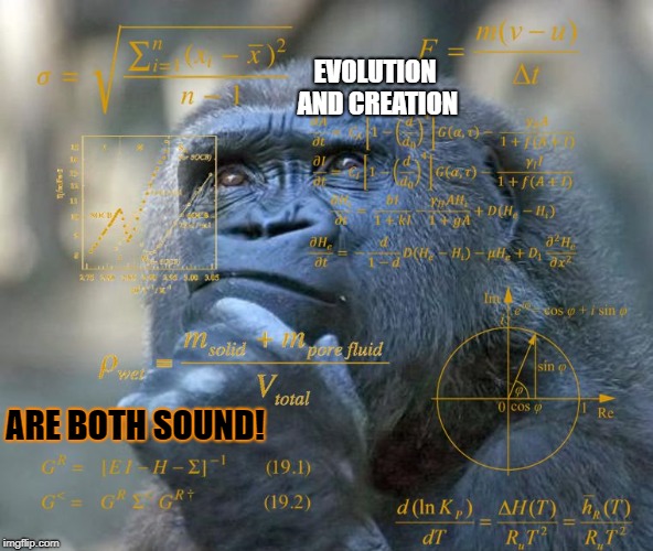 Thinking Math Ape | EVOLUTION AND CREATION; ARE BOTH SOUND! | image tagged in thinking math ape | made w/ Imgflip meme maker