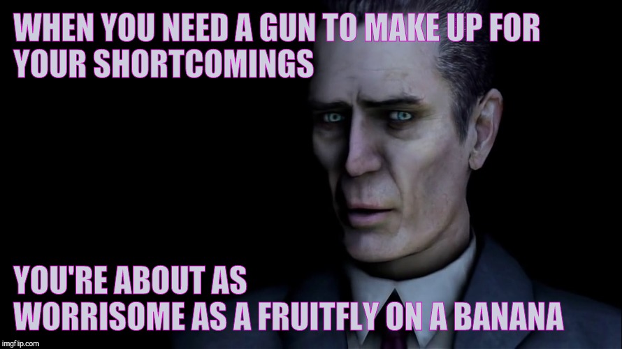 WHEN YOU NEED A GUN TO MAKE UP FOR YOUR SHORTCOMINGS YOU'RE ABOUT AS                           WORRISOME AS A FRUITFLY ON A BANANA | made w/ Imgflip meme maker