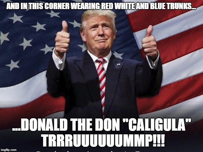 In this corner | AND IN THIS CORNER WEARING RED WHITE AND BLUE TRUNKS... ...DONALD THE DON "CALIGULA" TRRRUUUUUUMMP!!! | image tagged in donald trump thumbs up | made w/ Imgflip meme maker