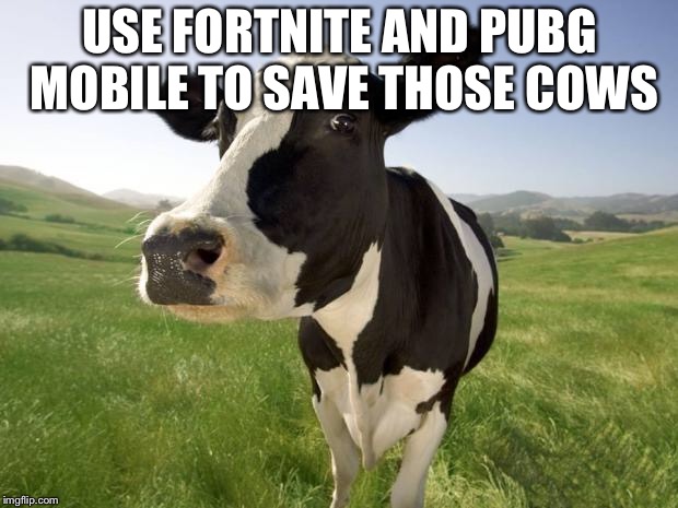 cow | USE FORTNITE AND PUBG MOBILE TO SAVE THOSE COWS | image tagged in cow | made w/ Imgflip meme maker