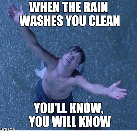 Shawshank redemption freedom | WHEN THE RAIN WASHES YOU CLEAN YOU'LL KNOW, YOU WILL KNOW | image tagged in shawshank redemption freedom | made w/ Imgflip meme maker