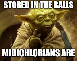 yoda | STORED IN THE BALLS; MIDICHLORIANS ARE | image tagged in yoda | made w/ Imgflip meme maker