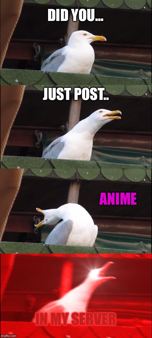 Dont you do it | DID YOU... JUST POST.. ANIME; IN MY SERVER | image tagged in memes,inhaling seagull,anime,server,discord,triggered | made w/ Imgflip meme maker
