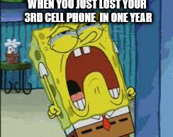 When You Just Lost Your Cell Phone.... | WHEN YOU JUST LOST YOUR 3RD CELL PHONE
 IN ONE YEAR | image tagged in when you just lost your cell phone | made w/ Imgflip meme maker