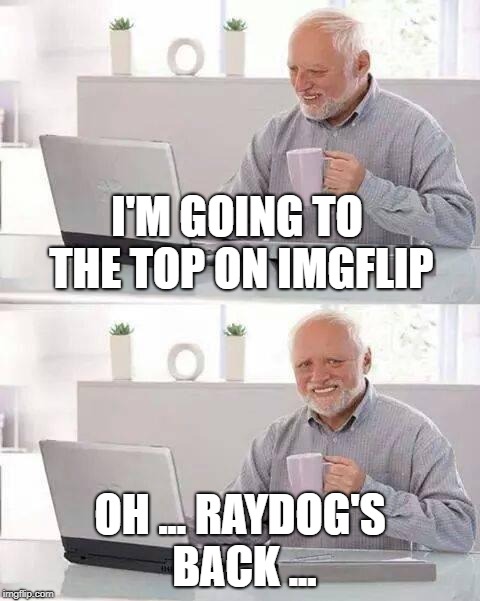 Guess I'm going for silver then... :) | I'M GOING TO THE TOP ON IMGFLIP; OH ... RAYDOG'S BACK ... | image tagged in memes,hide the pain harold,raydog | made w/ Imgflip meme maker