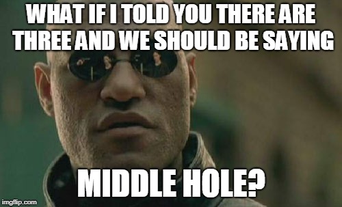 Matrix Morpheus Meme | WHAT IF I TOLD YOU THERE ARE THREE AND WE SHOULD BE SAYING; MIDDLE HOLE? | image tagged in memes,matrix morpheus | made w/ Imgflip meme maker