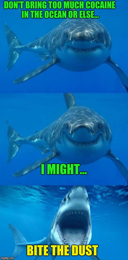 Bad Shark Pun  | DON'T BRING TOO MUCH COCAINE IN THE OCEAN OR ELSE... I MIGHT... BITE THE DUST | image tagged in bad shark pun | made w/ Imgflip meme maker