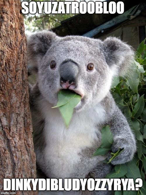 Surprised Koala Meme | SOYUZATROOBLOO DINKYDIBLUDYOZZYRYA? | image tagged in memes,surprised koala | made w/ Imgflip meme maker