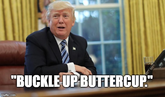 Unindicted Co Conspirator | "BUCKLE UP BUTTERCUP." | image tagged in trump,crook,avenatti | made w/ Imgflip meme maker