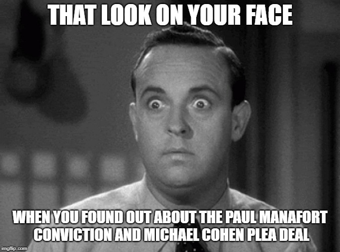 shocked face | THAT LOOK ON YOUR FACE; WHEN YOU FOUND OUT ABOUT THE PAUL MANAFORT CONVICTION AND MICHAEL COHEN PLEA DEAL | image tagged in shocked face | made w/ Imgflip meme maker