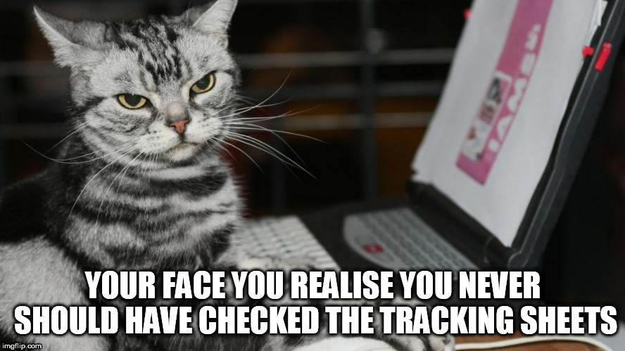 oh no you didn't  | YOUR FACE YOU REALISE YOU NEVER SHOULD HAVE CHECKED THE TRACKING SHEETS | image tagged in cat | made w/ Imgflip meme maker