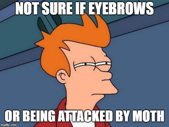 Futurama Fry Meme | NOT SURE IF EYEBROWS OR BEING ATTACKED BY MOTH | image tagged in memes,futurama fry | made w/ Imgflip meme maker