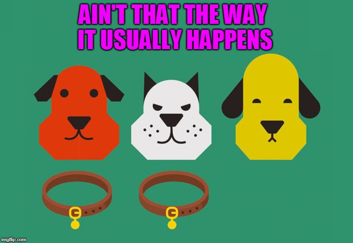 You find out how shackled you are when the collar slips off | AIN'T THAT THE WAY IT USUALLY HAPPENS | image tagged in vince vance and the valiants,dogs,collars on dogs,freedom,yellow dog democrat | made w/ Imgflip meme maker