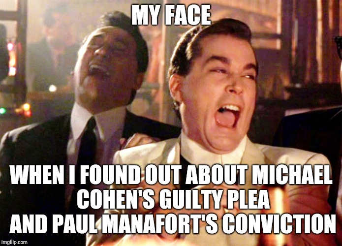 Good Fellas Hilarious Meme | MY FACE WHEN I FOUND OUT ABOUT MICHAEL COHEN'S GUILTY PLEA AND PAUL MANAFORT'S CONVICTION | image tagged in memes,good fellas hilarious | made w/ Imgflip meme maker