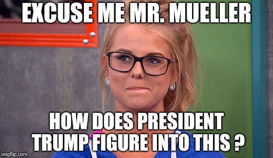 Nicole 's thinking | EXCUSE ME MR. MUELLER HOW DOES PRESIDENT TRUMP FIGURE INTO THIS ? | image tagged in nicole 's thinking | made w/ Imgflip meme maker