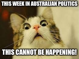 shocked | THIS WEEK IN AUSTRALIAN POLITICS; THIS CANNOT BE HAPPENING! | image tagged in shocked | made w/ Imgflip meme maker