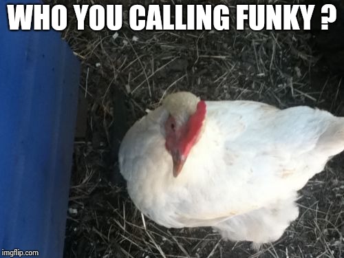 Angry Chicken Boss Meme | WHO YOU CALLING FUNKY ? | image tagged in memes,angry chicken boss | made w/ Imgflip meme maker