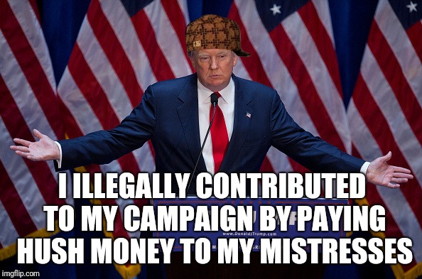 Donald Trump | I ILLEGALLY CONTRIBUTED TO MY CAMPAIGN BY PAYING HUSH MONEY TO MY MISTRESSES | image tagged in donald trump,scumbag | made w/ Imgflip meme maker