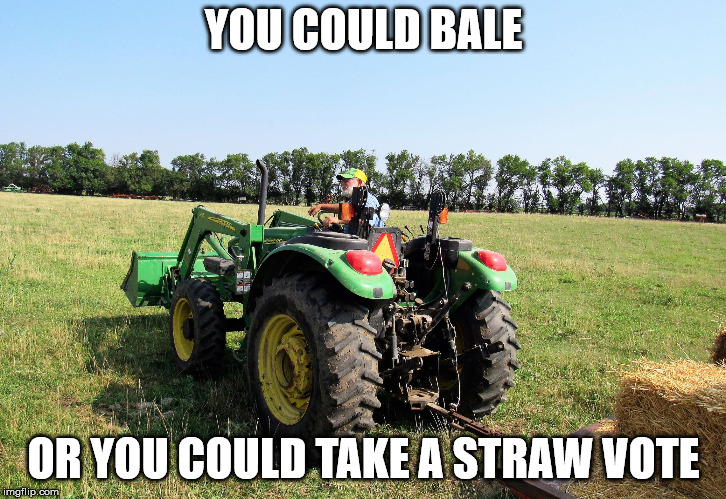 Farmer and hay rack | YOU COULD BALE OR YOU COULD TAKE A STRAW VOTE | image tagged in farmer and hay rack | made w/ Imgflip meme maker