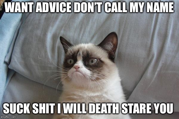 Grumpy Cat Bed Meme | WANT ADVICE DON’T CALL MY NAME; SUCK SHIT I WILL DEATH STARE YOU | image tagged in memes,grumpy cat bed,grumpy cat | made w/ Imgflip meme maker