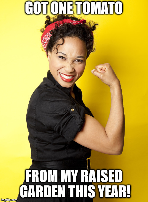 Black woman "Rosie the Riveter" | GOT ONE TOMATO FROM MY RAISED GARDEN THIS YEAR! | image tagged in black woman rosie the riveter | made w/ Imgflip meme maker