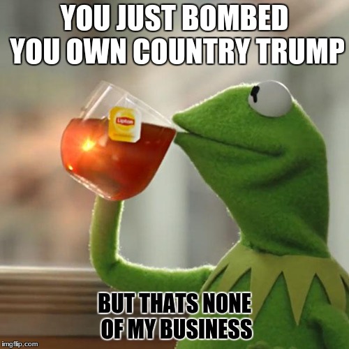 But That's None Of My Business | YOU JUST BOMBED YOU OWN COUNTRY TRUMP; BUT THATS NONE OF MY BUSINESS | image tagged in memes,but thats none of my business,kermit the frog | made w/ Imgflip meme maker