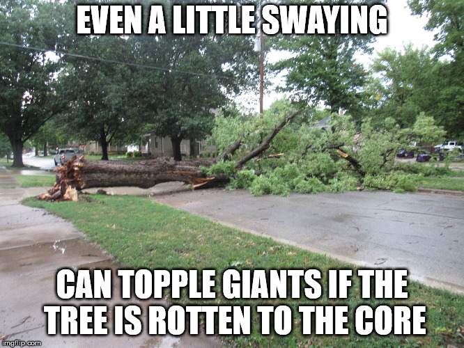 Fallen Tree | EVEN A LITTLE SWAYING CAN TOPPLE GIANTS IF THE TREE IS ROTTEN TO THE CORE | image tagged in fallen tree | made w/ Imgflip meme maker