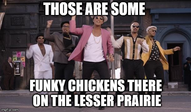 Uptown Funk | THOSE ARE SOME FUNKY CHICKENS THERE ON THE LESSER PRAIRIE | image tagged in uptown funk | made w/ Imgflip meme maker