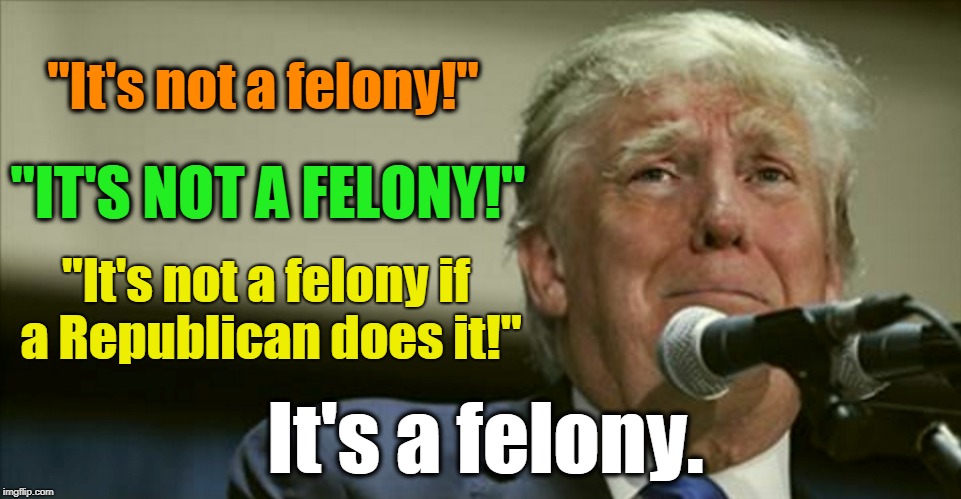 Attention Trump fans: it's all downhill from here. | "It's not a felony!"; "IT'S NOT A FELONY!"; "It's not a felony if a Republican does it!"; It's a felony. | image tagged in trump in tears,manafort,cohen,felony,crime,republican | made w/ Imgflip meme maker