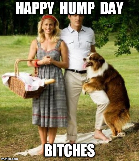 HAPPY HUMP DAY BITCHES | HAPPY  HUMP  DAY; BITCHES | image tagged in bitch,bitches,hump day | made w/ Imgflip meme maker
