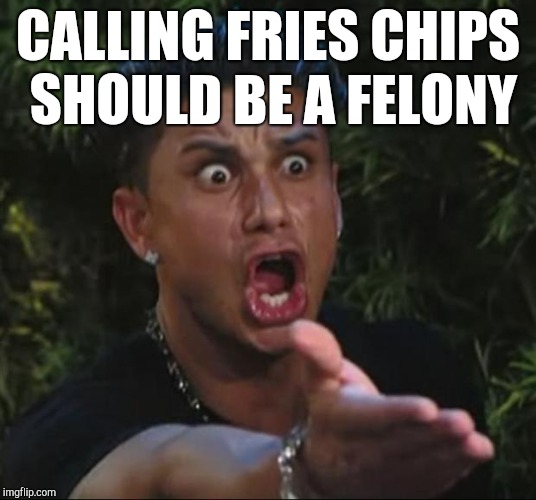 DJ Pauly D Meme | CALLING FRIES CHIPS SHOULD BE A FELONY | image tagged in memes,dj pauly d | made w/ Imgflip meme maker