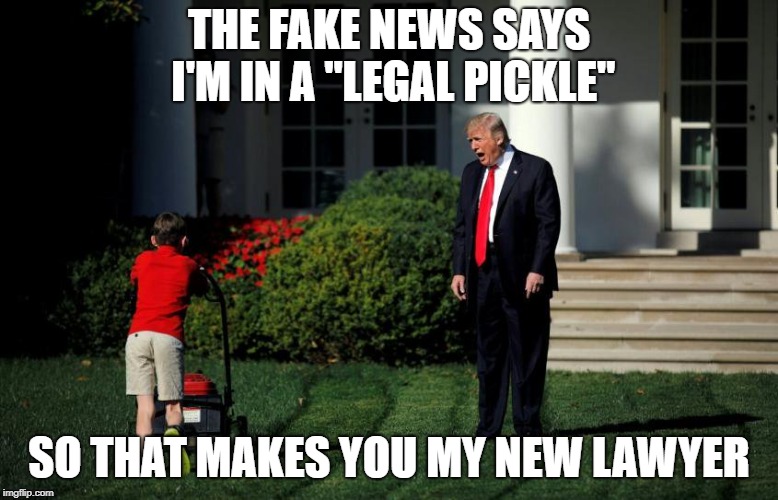 Legal Pickle | THE FAKE NEWS SAYS I'M IN A "LEGAL PICKLE"; SO THAT MAKES YOU MY NEW LAWYER | image tagged in memes,politics,trump,donald trump,trump yells at lawnmower kid | made w/ Imgflip meme maker