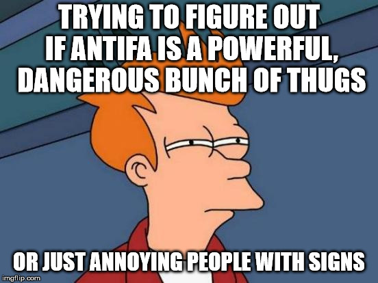 Futurama Fry Meme | TRYING TO FIGURE OUT IF ANTIFA IS A POWERFUL, DANGEROUS BUNCH OF THUGS OR JUST ANNOYING PEOPLE WITH SIGNS | image tagged in memes,futurama fry | made w/ Imgflip meme maker