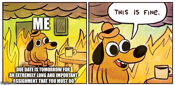 This Is Fine Meme | ME; DUE DATE IS TOMORROW FOR AN EXTREMELY LONG AND IMPORTANT ASSIGNMENT THAT YOU MUST DO | image tagged in this is fine dog,memes,funny | made w/ Imgflip meme maker