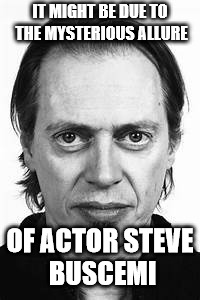 Steve Buscemi | IT MIGHT BE DUE TO THE MYSTERIOUS ALLURE OF ACTOR STEVE BUSCEMI | image tagged in steve buscemi | made w/ Imgflip meme maker