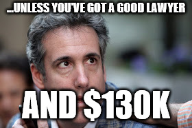 Michael Cohen looking stupid | ...UNLESS YOU'VE GOT A GOOD LAWYER AND $130K | image tagged in michael cohen looking stupid | made w/ Imgflip meme maker