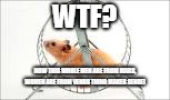 hamster wheel | WTF? NOW THIS WHOLE MEN ARE FROM MARS, WOMEN ARE FROM VENUS THING MAKES SENSE! | image tagged in hamster wheel | made w/ Imgflip meme maker