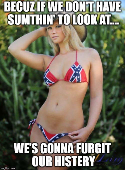 Confederate Bikini | BECUZ IF WE DON'T HAVE SUMTHIN' TO LOOK AT.... WE'S GONNA FURGIT OUR HISTERY | image tagged in confederate bikini | made w/ Imgflip meme maker