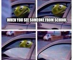 Kermit rolls up window | WHEN YOU SEE SOMEONE FROM SCHOOL | image tagged in kermit rolls up window | made w/ Imgflip meme maker