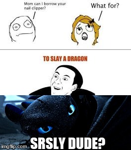 SRSLY DUDE? | image tagged in httyd | made w/ Imgflip meme maker