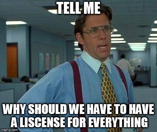 That Would Be Great Meme | TELL ME; WHY SHOULD WE HAVE TO HAVE A LISCENSE FOR EVERYTHING | image tagged in memes,that would be great,liscense,liscenses,why,tell me | made w/ Imgflip meme maker