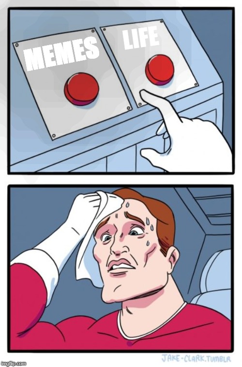 Two Buttons | LIFE; MEMES | image tagged in memes,two buttons | made w/ Imgflip meme maker