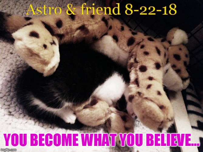 astros bff | Astro & friend 8-22-18; YOU BECOME WHAT YOU BELIEVE... | image tagged in friendship | made w/ Imgflip meme maker