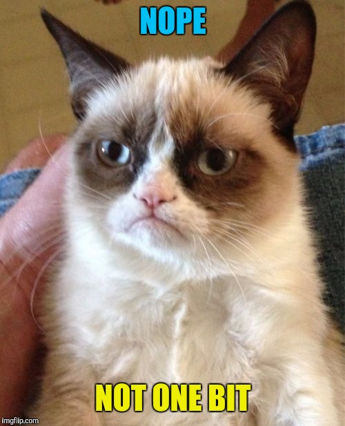 Grumpy Cat Meme | NOPE NOT ONE BIT | image tagged in memes,grumpy cat | made w/ Imgflip meme maker