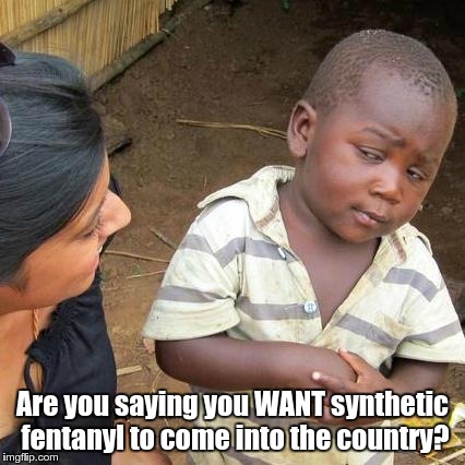 Third World Skeptical Kid Meme | Are you saying you WANT synthetic fentanyl to come into the country? | image tagged in memes,third world skeptical kid | made w/ Imgflip meme maker